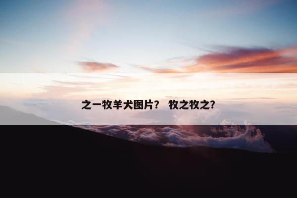 之一牧羊犬图片？ 牧之牧之？