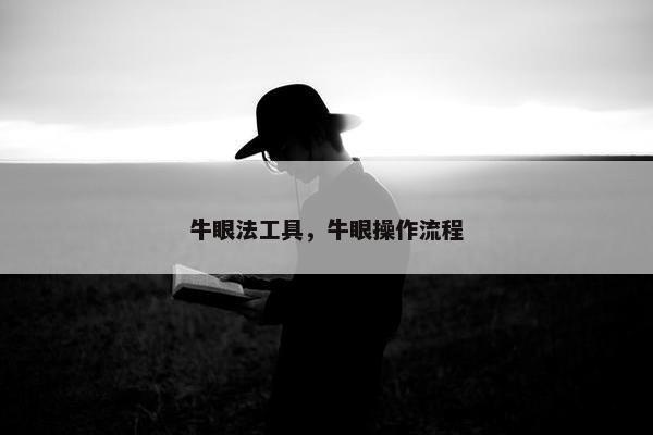 牛眼法工具，牛眼操作流程