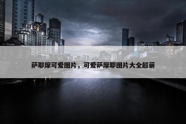 萨耶摩可爱图片，可爱萨摩耶图片大全超萌