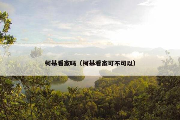 柯基看家吗（柯基看家可不可以）