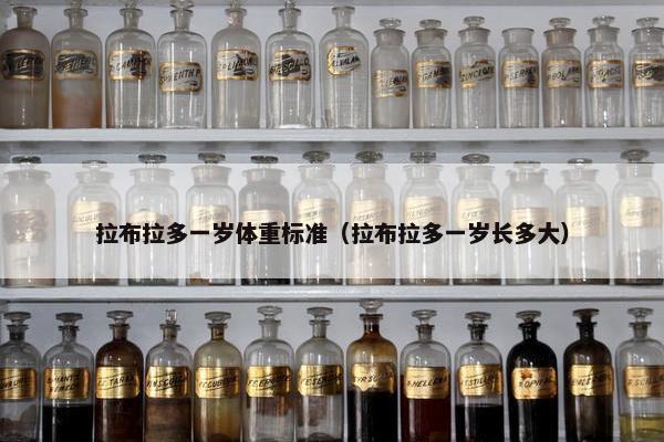 拉布拉多一岁体重标准（拉布拉多一岁长多大）
