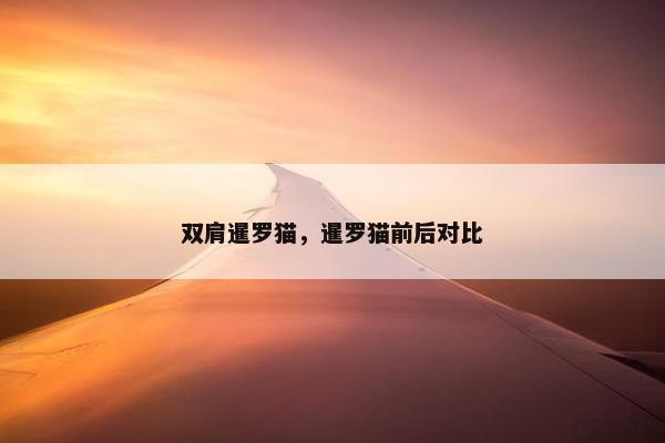 双肩暹罗猫，暹罗猫前后对比