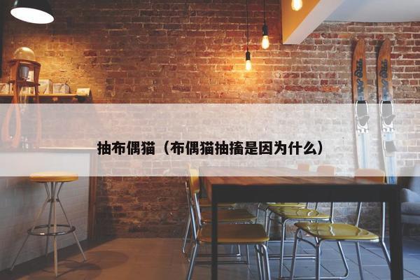 抽布偶猫（布偶猫抽搐是因为什么）
