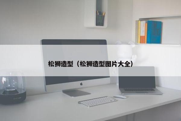 松狮造型（松狮造型图片大全）