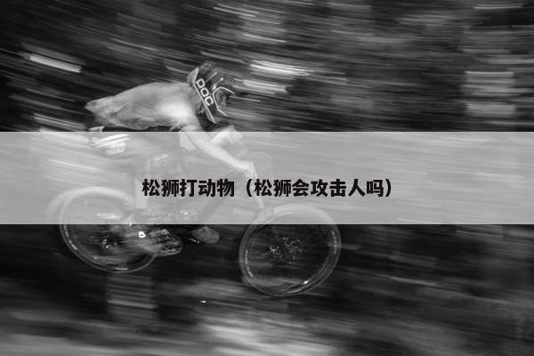 松狮打动物（松狮会攻击人吗）