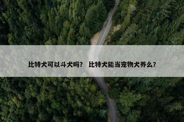 比特犬可以斗犬吗？ 比特犬能当宠物犬养么？