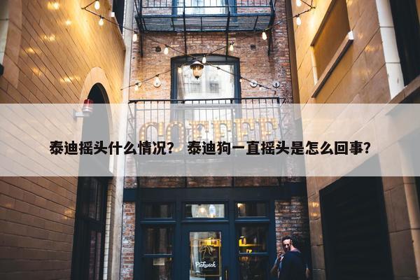 泰迪摇头什么情况？ 泰迪狗一直摇头是怎么回事？