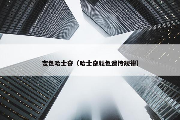变色哈士奇（哈士奇颜色遗传规律）