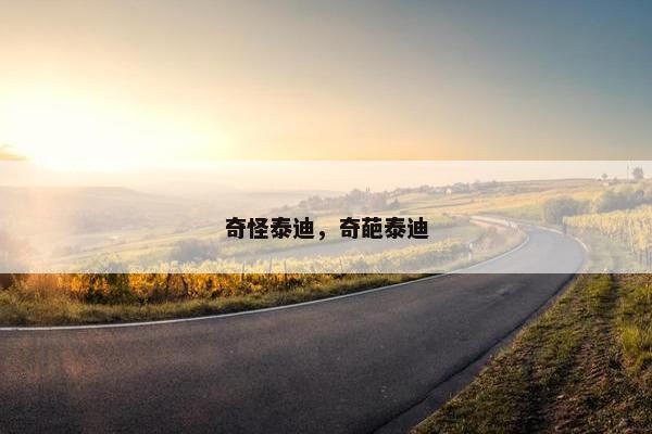 奇怪泰迪，奇葩泰迪