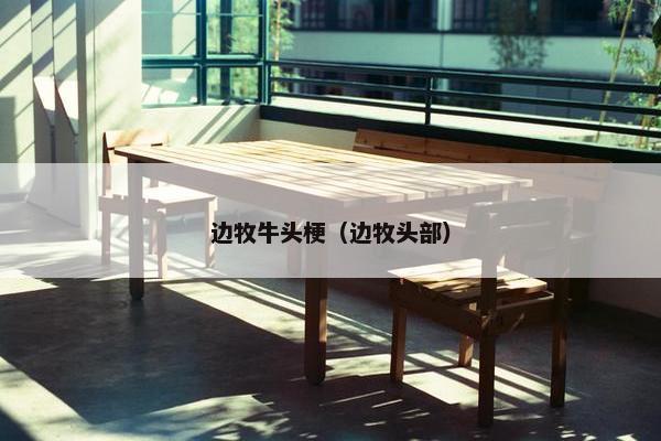 边牧牛头梗（边牧头部）