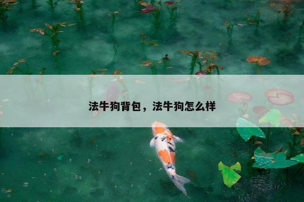 法牛狗背包，法牛狗怎么样