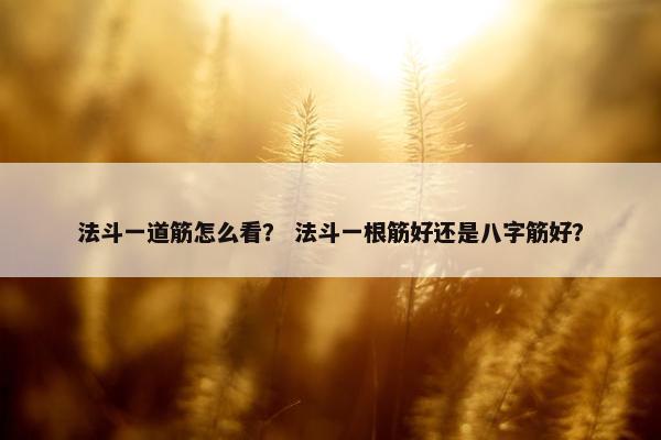 法斗一道筋怎么看？ 法斗一根筋好还是八字筋好？