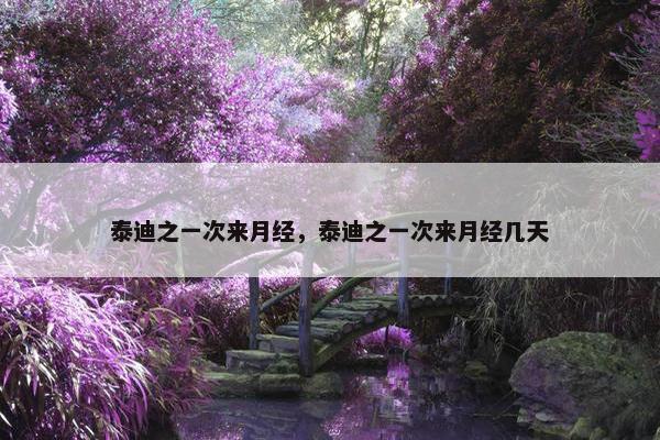 泰迪之一次来月经，泰迪之一次来月经几天