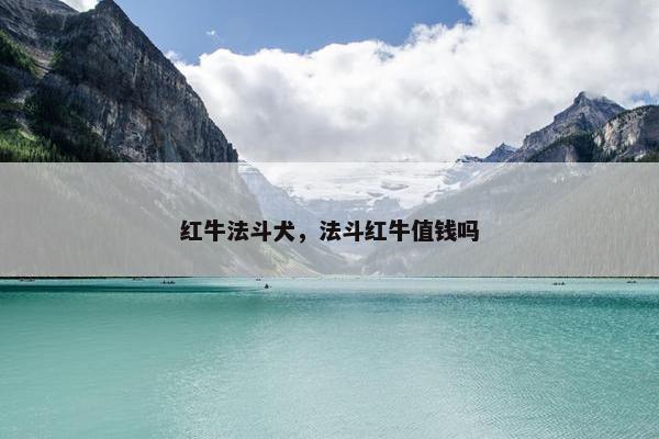 红牛法斗犬，法斗红牛值钱吗
