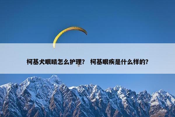 柯基犬眼睛怎么护理？ 柯基眼疾是什么样的？