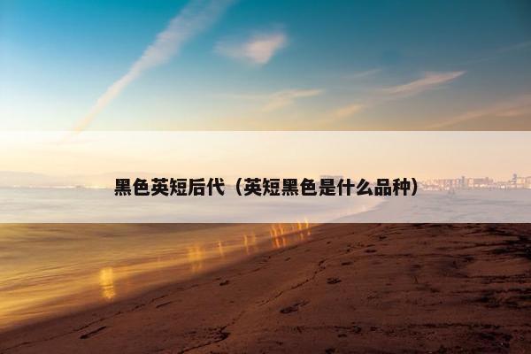黑色英短后代（英短黑色是什么品种）