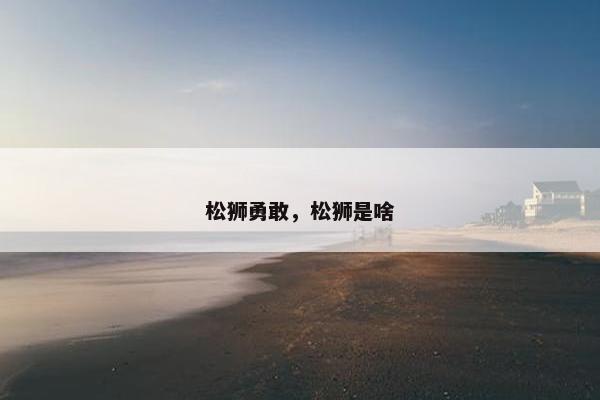 松狮勇敢，松狮是啥