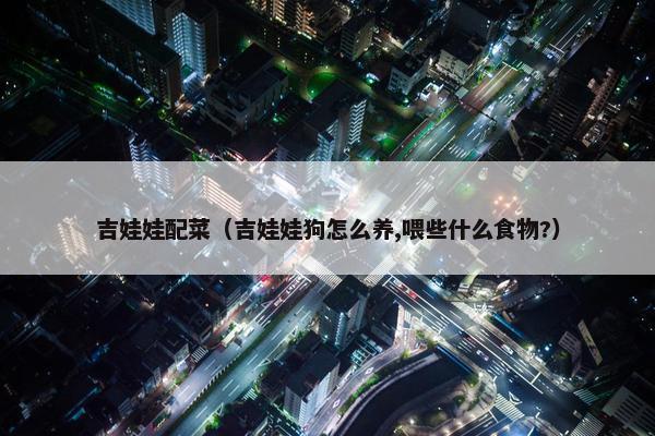吉娃娃配菜（吉娃娃狗怎么养,喂些什么食物?）