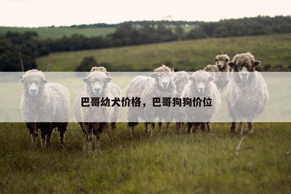 巴哥幼犬价格，巴哥狗狗价位