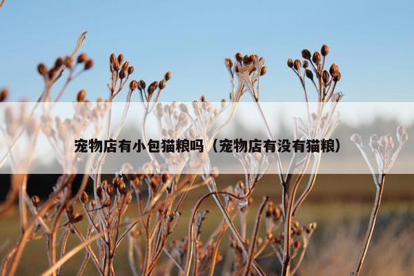 宠物店有小包猫粮吗（宠物店有没有猫粮）