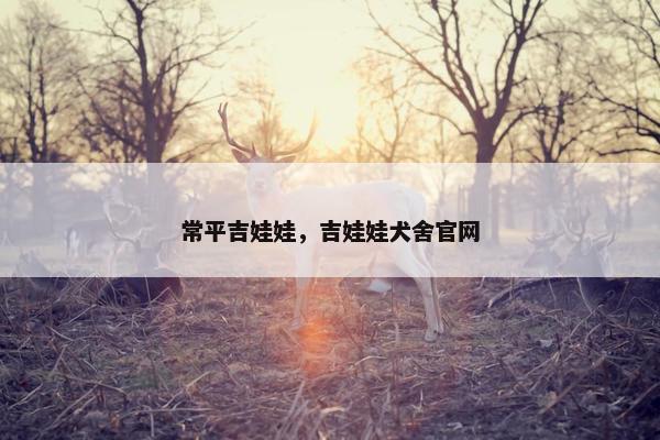 常平吉娃娃，吉娃娃犬舍官网