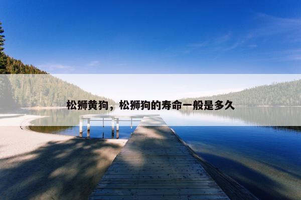 松狮黄狗，松狮狗的寿命一般是多久