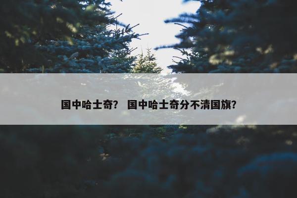 国中哈士奇？ 国中哈士奇分不清国旗？