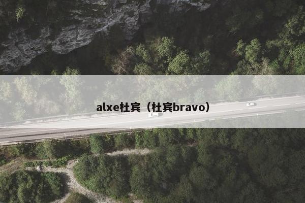 alxe杜宾（杜宾bravo）