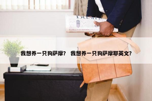 我想养一只狗萨摩？ 我想养一只狗萨摩耶英文？