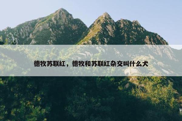 德牧苏联红，德牧和苏联红杂交叫什么犬