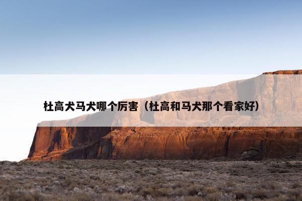 杜高犬马犬哪个厉害（杜高和马犬那个看家好）