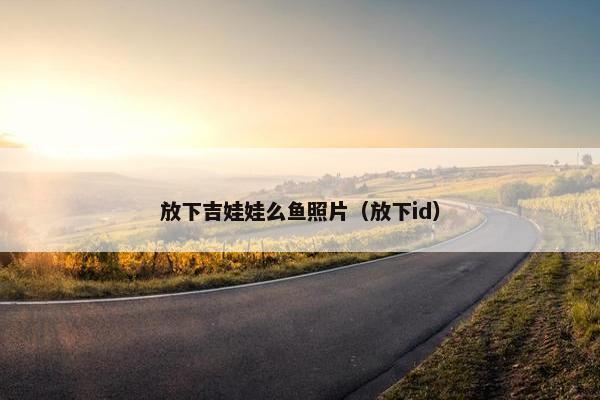 放下吉娃娃么鱼照片（放下id）
