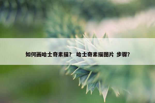 如何画哈士奇素描？ 哈士奇素描图片 步骤？