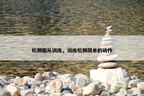松狮服从训练，训练松狮简单的动作