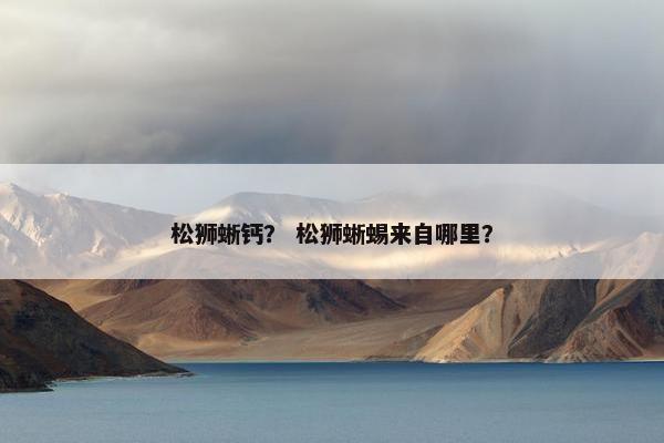 松狮蜥钙？ 松狮蜥蜴来自哪里？