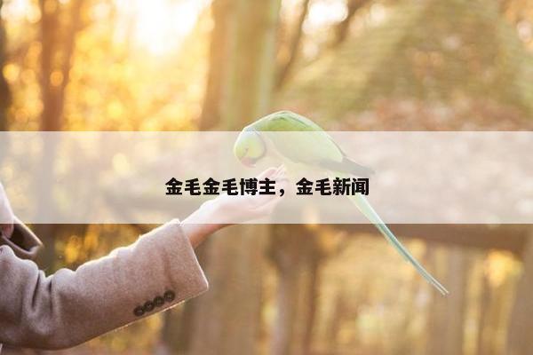 金毛金毛博主，金毛新闻
