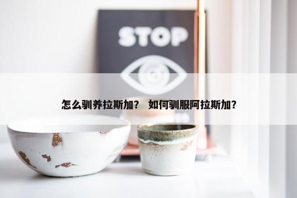怎么驯养拉斯加？ 如何驯服阿拉斯加？