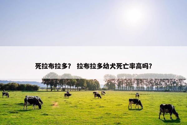 死拉布拉多？ 拉布拉多幼犬死亡率高吗？