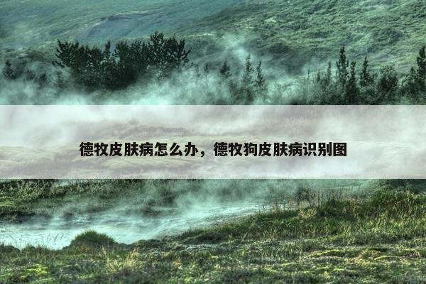 德牧皮肤病怎么办，德牧狗皮肤病识别图
