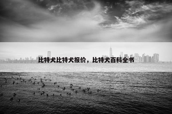 比特犬比特犬报价，比特犬百科全书
