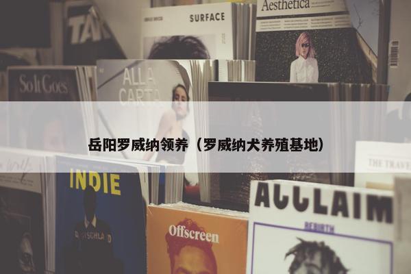 岳阳罗威纳领养（罗威纳犬养殖基地）