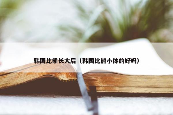 韩国比熊长大后（韩国比熊小体的好吗）