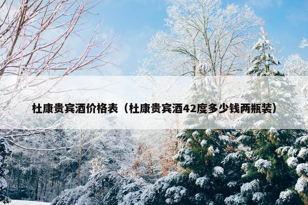 杜康贵宾酒价格表（杜康贵宾酒42度多少钱两瓶装）