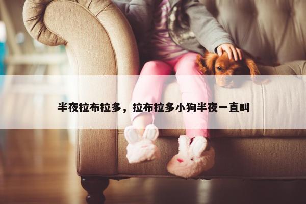 半夜拉布拉多，拉布拉多小狗半夜一直叫