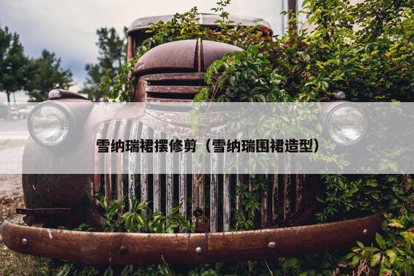 雪纳瑞裙摆修剪（雪纳瑞围裙造型）