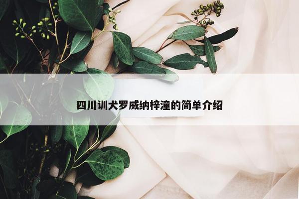 四川训犬罗威纳梓潼的简单介绍