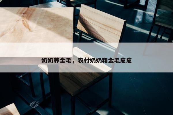 奶奶养金毛，农村奶奶和金毛皮皮