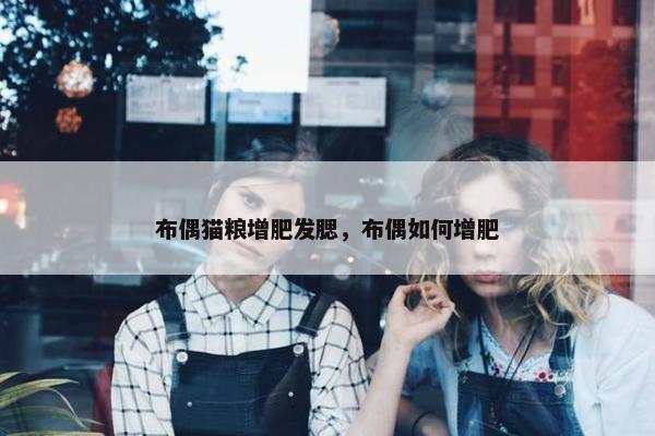 布偶猫粮增肥发腮，布偶如何增肥