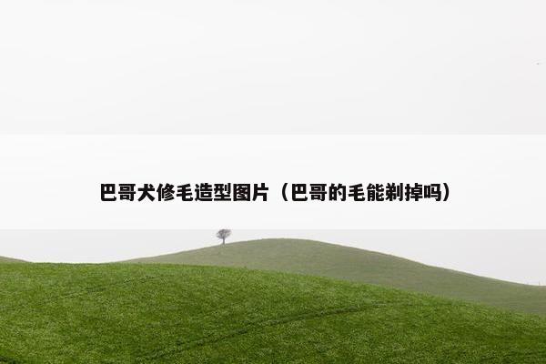 巴哥犬修毛造型图片（巴哥的毛能剃掉吗）