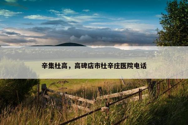 辛集杜高，高碑店市杜辛庄医院电话